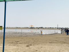 -碧海金沙