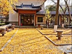 -郑和公园