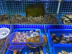 水产区-必点海鲜·鲅鱼水饺(鞍山西道店)