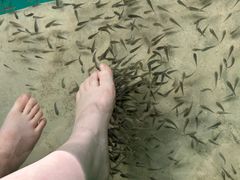 -静之湖度假区