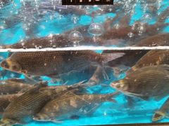 -艳阳天·非遗楚菜(武汉客厅店)