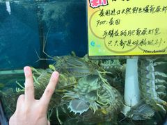 -蚝专家(北滘店)