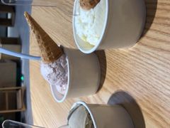 -歎雪糕低糖低脂Gelato冰淇淋
