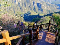 -大岭沟猕猴桃谷风景区