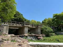 -巢湖姥山岛