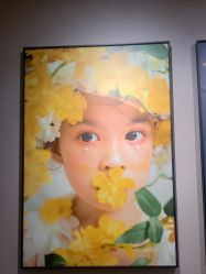 -大树儿童摄影