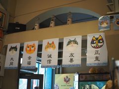 -猫咪博物馆(顶澳仔猫街店)