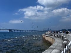 -星海广场