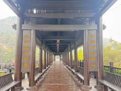 -徂徕山森林康养度假谷温泉