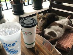 -7-Eleven(don mueang international airport)