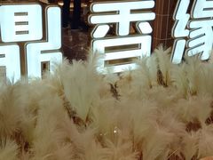 -鼎香缘海鲜自助火锅烤肉(锦辉购物广场店)