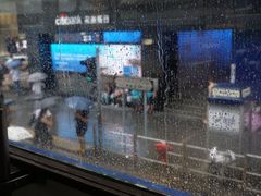 -Big Bus Tours 敞篷观光巴士