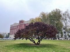 -辽宁大学(崇山校区)