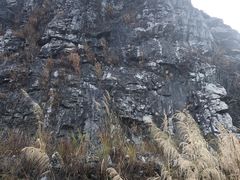 -黄埔油麻山森林公园