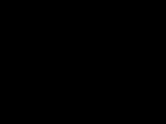 -陶虹海鲜餐厅(禅城石湾店)