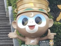 -海南铜鼓岭景区