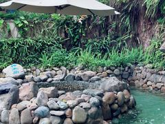 -嘉和K6温泉微度假