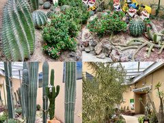-正佳雨林生态植物园