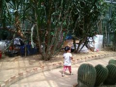 -广东茂名森林公园