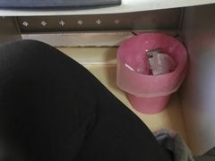 -北京清真房记小吃店