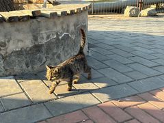 -白水寺森林公园