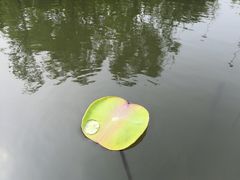 -幕燕滨江·长江观音景区