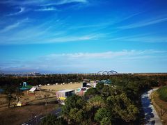 -春花秋色城市公园