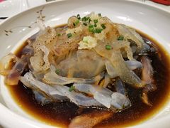 -丁老爷子苏香圆
