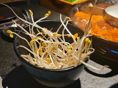 -渝涯重庆豆花老火锅(中赢国际店)