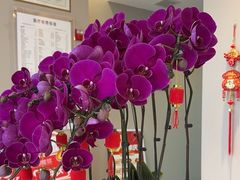 -土豆口腔(凤凰北总店)