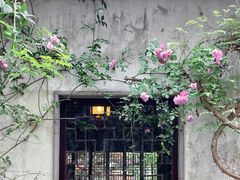 -艺圃
