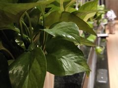 -必胜客(花都百业店)