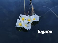 -丽江泸沽湖景区