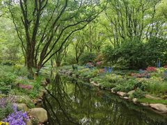 -上海共青森林公园