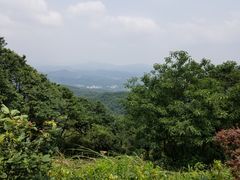 -广州市帽峰山景区