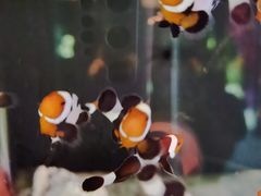 -沈阳海洋探索中心