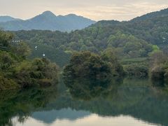 -龙坞茶村