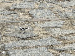 -天津盘山风景名胜区