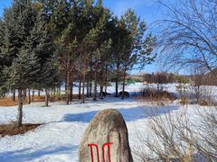 -北极村旅游风景区