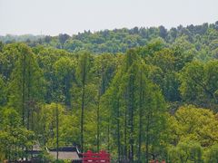 -西湖外事游船(花港观鱼码头)