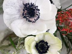 -Flower in(密渡桥店)