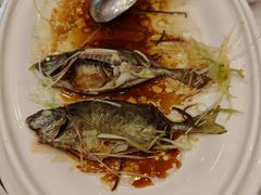 -凤凰楼酒家·粤宴点心(华强北店)