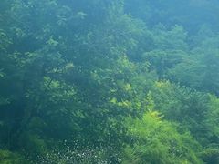 -青城两河漂流