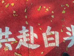 -黛秀湖公园