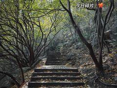 -紫金山山顶公园
