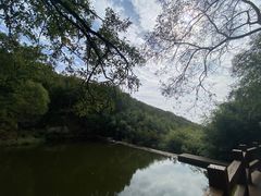 -鲁山国家森林公园