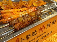 -福苗小骆驼烧烤(莲湖路店)