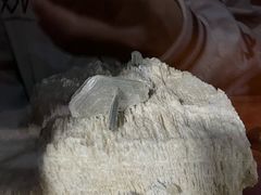-青岛德国总督楼旧址博物馆