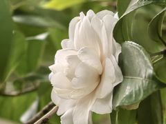 -宝岩生态观光园