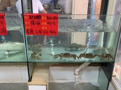 -小乡小镇·传承桐庐土菜·老板亲自烧的菜